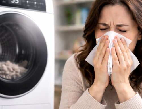 Dryer Vent Air Quality: The Hidden Cause of Winter Allergies